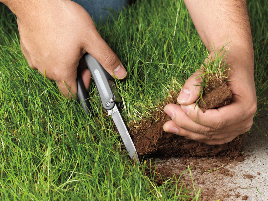 11 причин для отказа в прирезке земельного участка